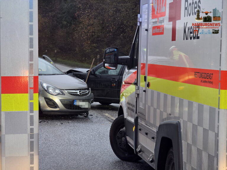 Seevetal - 2 PKW frontal zusammengestoßen - 1 Verletzter