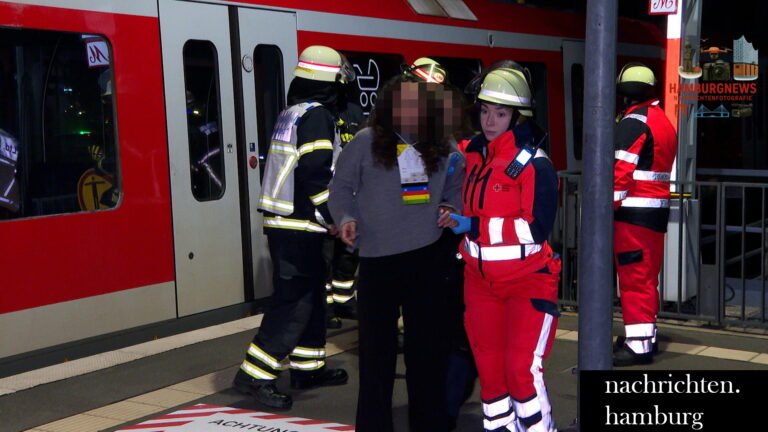 Hamburg Hafencity - Defekter Zug im Bahnhof Elbrücken evakuiert
