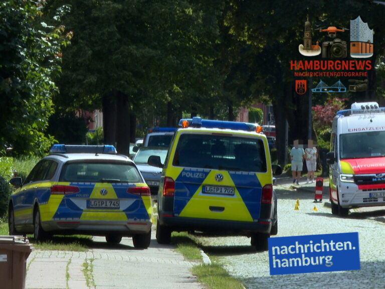 355_2843.00_00_44_23.Standbild012