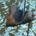 Hamburg Steinwerder - Brandbombe bei Sondierung gefunden - Freihafen für Bergung gesperrt