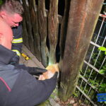 Hamburg Neugraben - Feuerwehr rettet Katze aus Gartenzaun