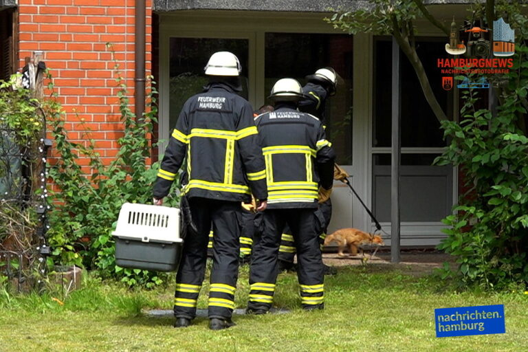 Hamburg Neugraben - Verletzter Fuchs beschäftigt Feuerwehr und Polizei über Stunden