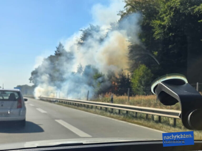 Foto: Freiwillige Feuerwehr Elstorf