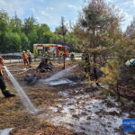 Feuerwehr löscht Brand im Wald
