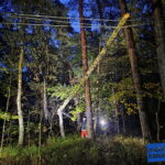Baum hängt in Stromleitung