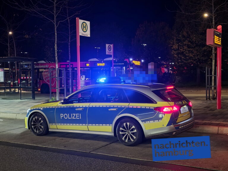 Polizei am Bahnhof Neugraben